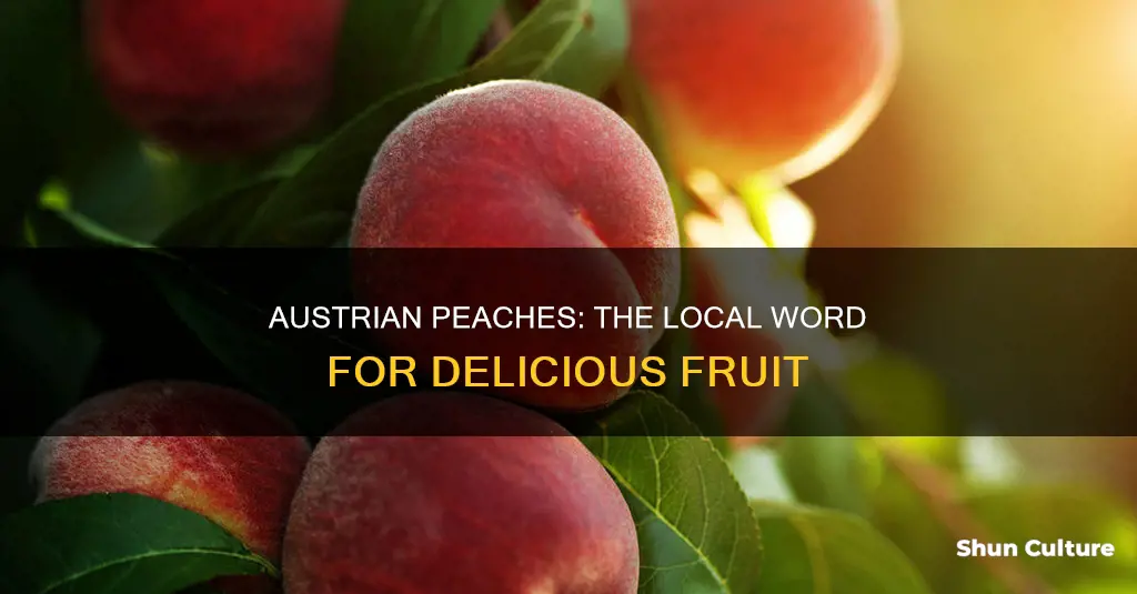 what is the word for peaches in austria