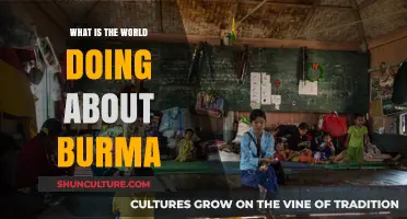 Global Response to Burma: Humanitarian Efforts and Political Moves