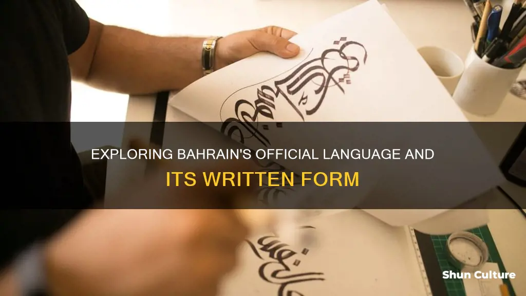 what is the written language used in bahrain