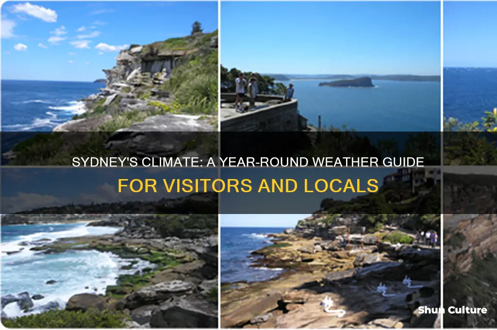 what is the year round climate of sydney australia