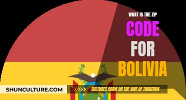 Bolivia's Postal System: Understanding Zip Codes and Mail Delivery