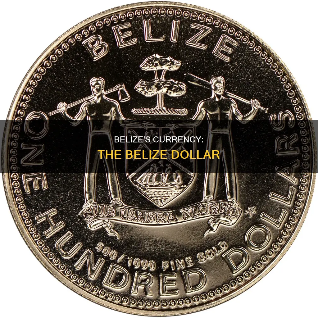what is their currency in belize city belize located