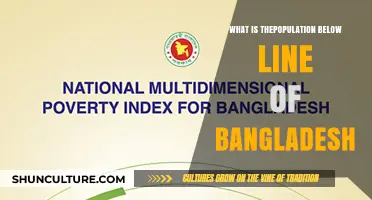 Understanding Bangladesh's Population Living Below the Poverty Line
