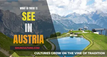 Austria's Scenic Splendor: Unveiling the Country's Top Attractions