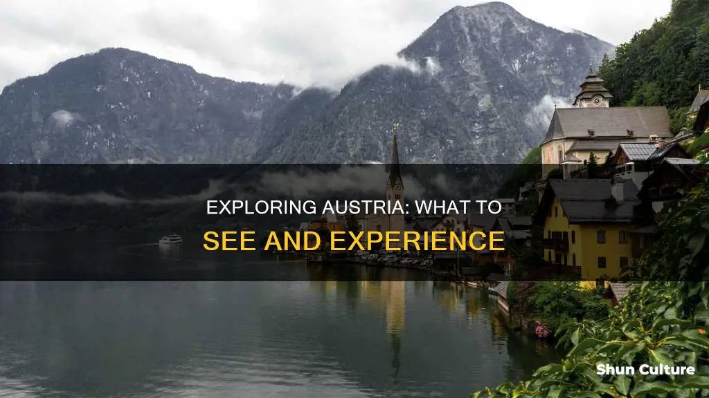 what is there ti see in austria