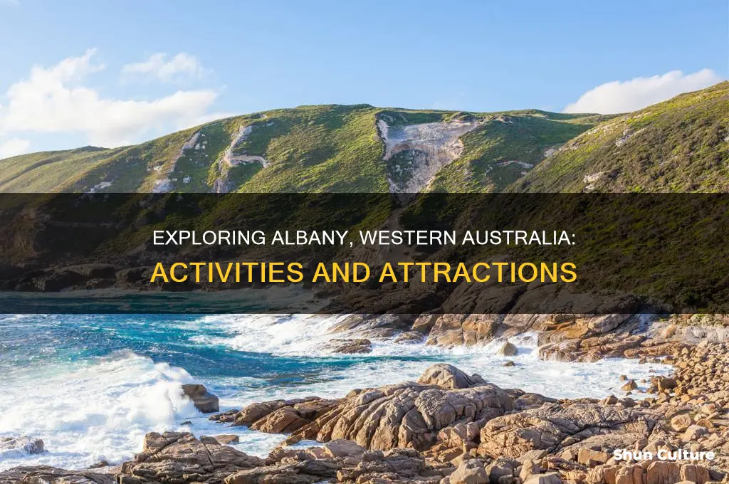 what is there to do in albany western australia