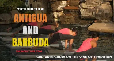 Exploring Antigua and Barbuda: Top Activities and Hidden Gems