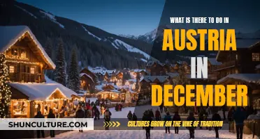 Winter Wonderland: December Adventures in Austria