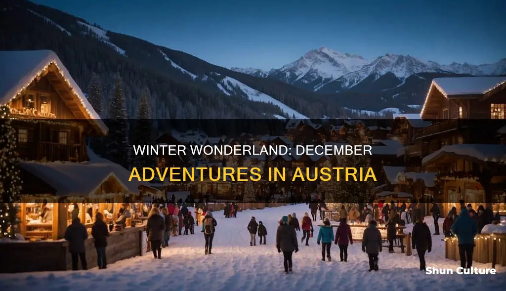 what is there to do in austria in december