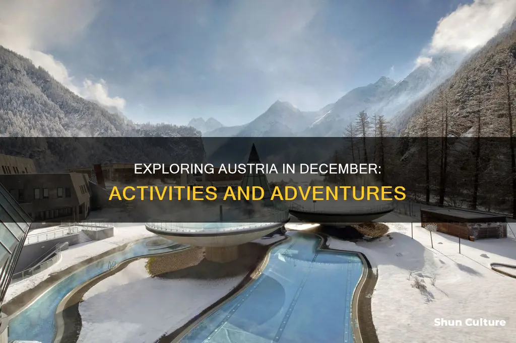 what is there to do in austria in december