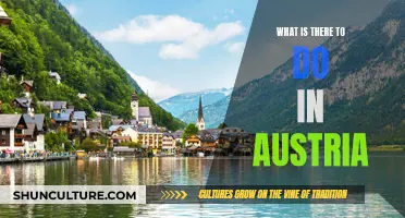 Exploring Austria: Activities and Attractions to Discover