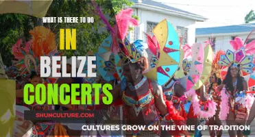 Belize's Music Scene: Concerts and More