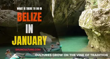 Belize in January: Adventure and Sun