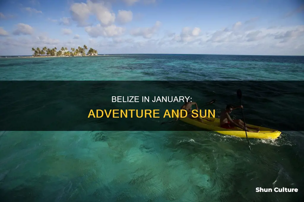 what is there to do in belize in january