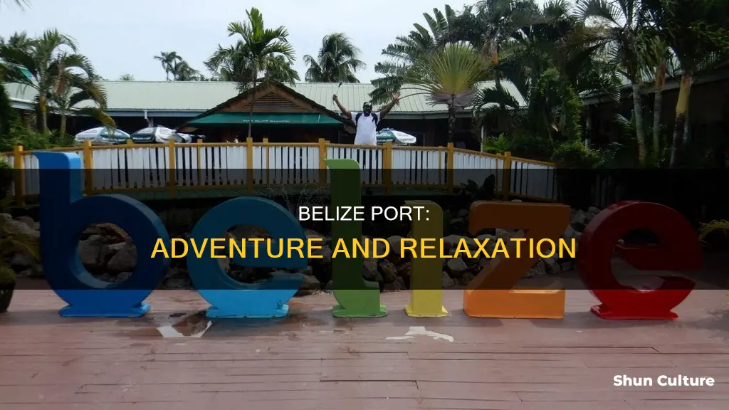 what is there to do in belize port