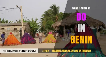 Exploring Benin: A Guide to the Country's Hidden Gems and Attractions