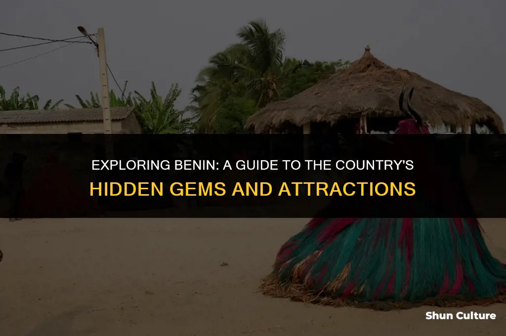 what is there to do in benin