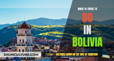 Exploring Bolivia: Activities and Adventures Await