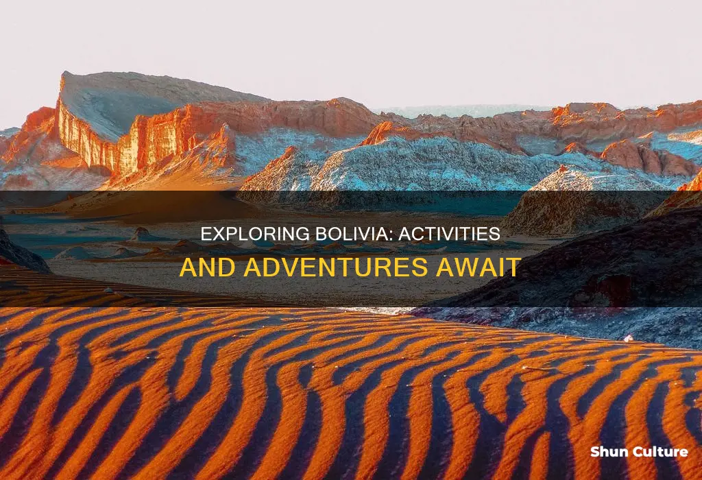 what is there to do in bolivia