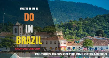 Exploring Brazil's Vibrant Culture, Adventures, and Must-See Attractions