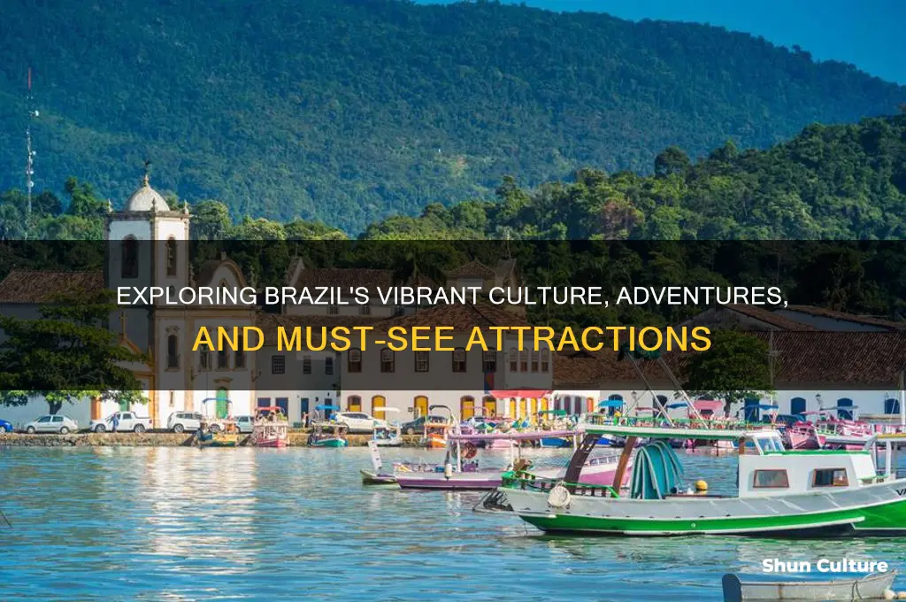 what is there to do in brazil