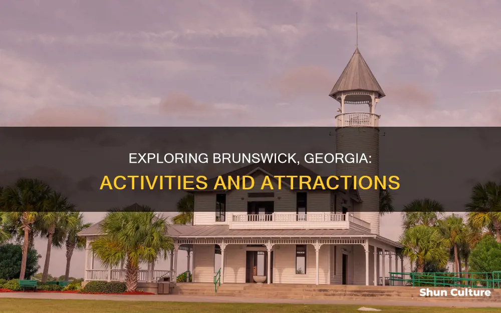what is there to do in brunswick ga