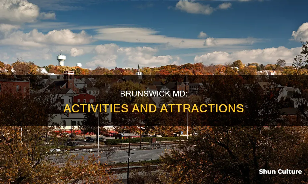 what is there to do in brunswick md