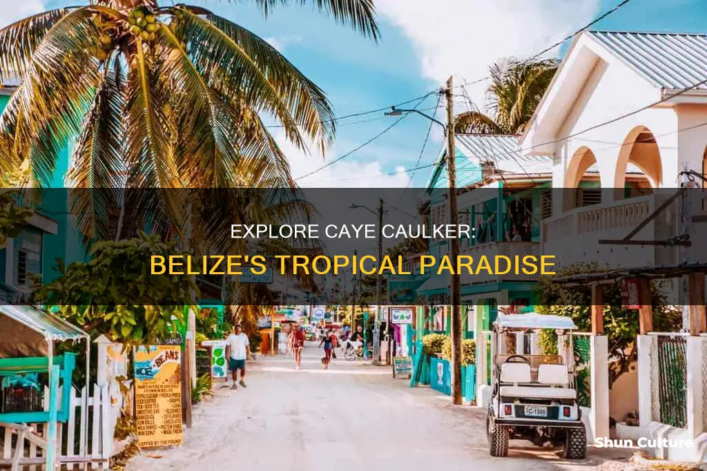 what is there to do in caye caulker belize