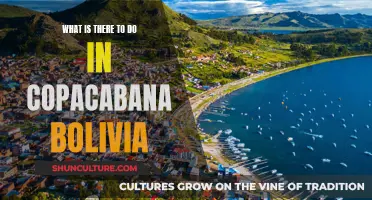 Exploring Bolivia's Copacabana: Activities and Adventures