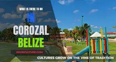Exploring Corozal, Belize: Activities and Adventures