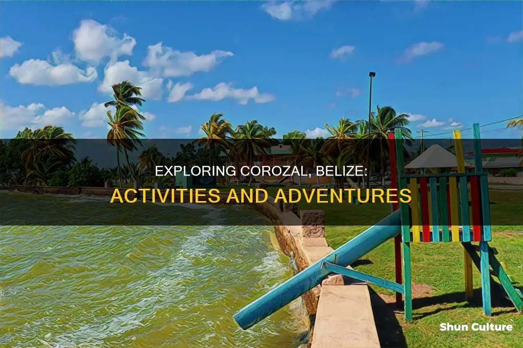 what is there to do in corozal belize