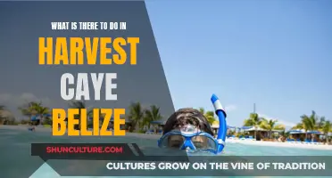 Discovering Harvest Caye, Belize