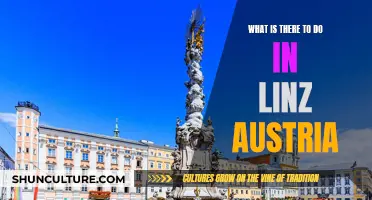 Linz's Cultural Scene: A Weekend's Worth of Fun in Austria