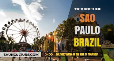 Exploring São Paulo: Top Attractions, Culture, and Hidden Gems in Brazil