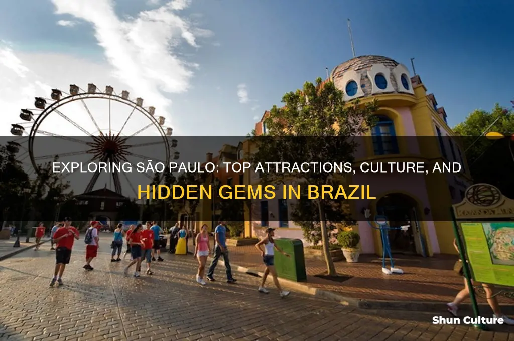 what is there to do in sao paulo brazil