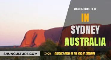 Exploring Sydney: Top Attractions, Activities, and Hidden Gems to Discover