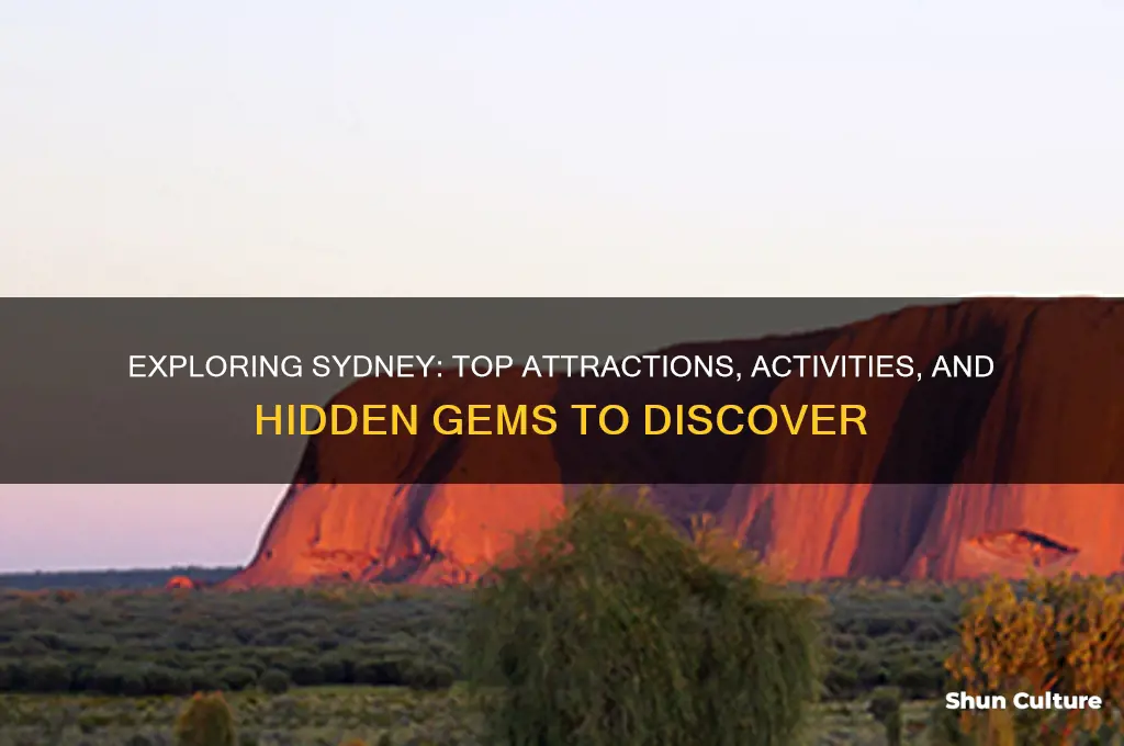 what is there to do in sydney australia