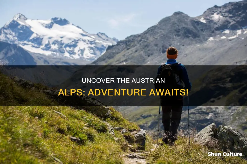 what is there to do in the austrian alps