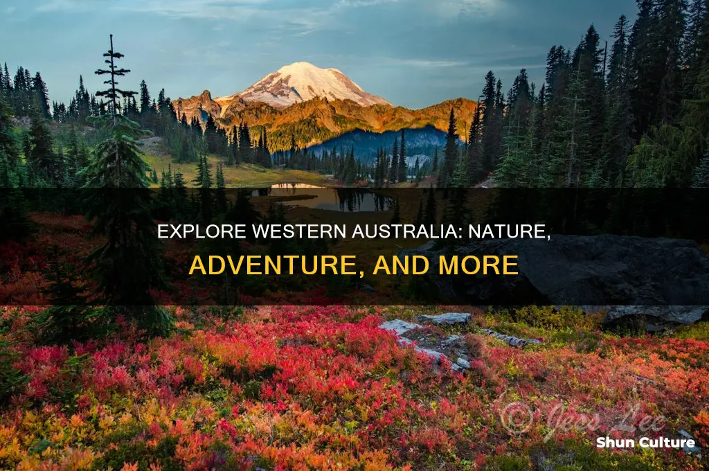 what is there to do in western australia
