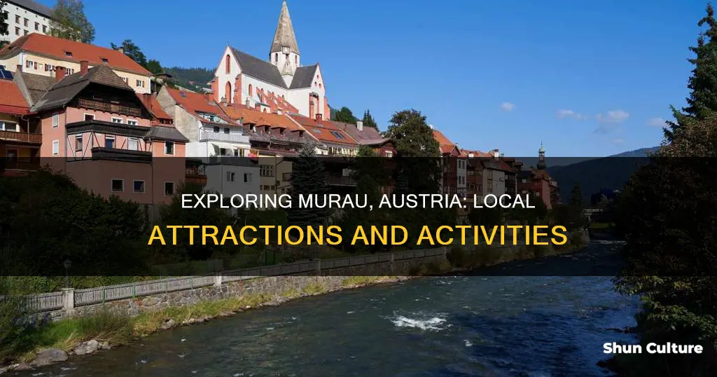what is there to do near murau austria