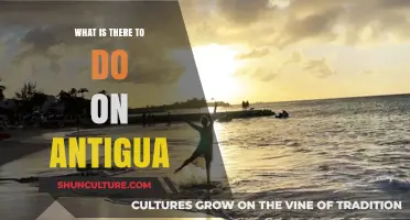 Discover Antigua's Best Beaches, Adventures, and Hidden Gems to Explore