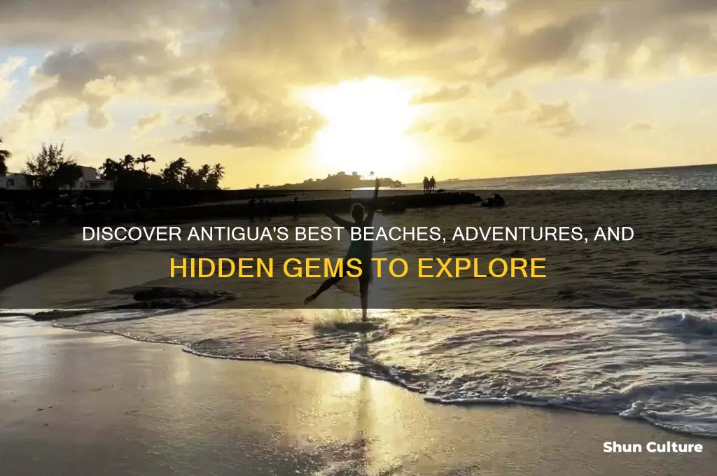 what is there to do on antigua