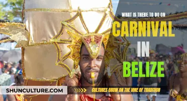 Carnival Fun in Belize