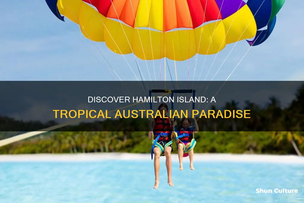 what is there to do on hamilton island australia