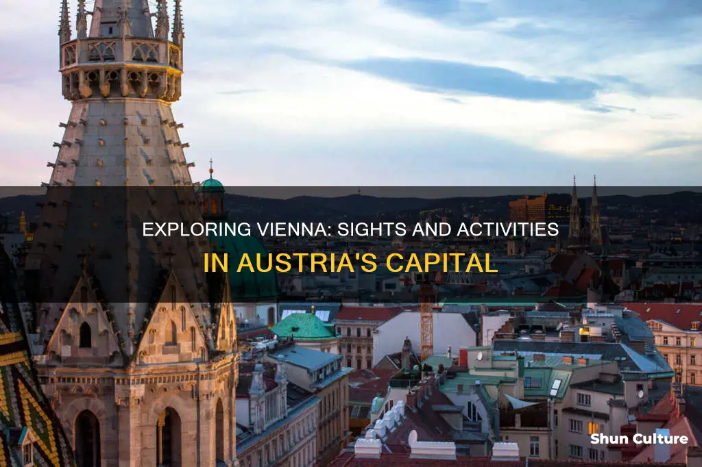 what is there to see and do in vienna austria