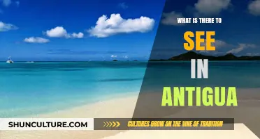 Discover Antigua's Stunning Beaches, Rich History, and Vibrant Culture