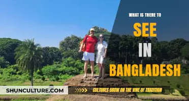 Discover Bangladesh's Hidden Gems: Culture, Nature, and Heritage Unveiled