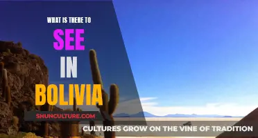 Discovering Bolivia: A Land of Adventure and Culture