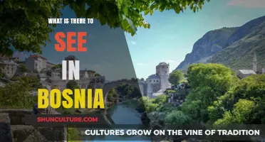 Discover Bosnia's Hidden Gems: Must-See Attractions and Cultural Wonders