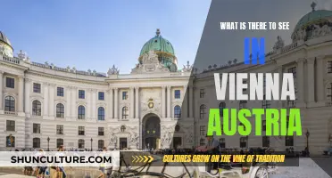 Exploring Vienna: A City of Rich Cultural Heritage